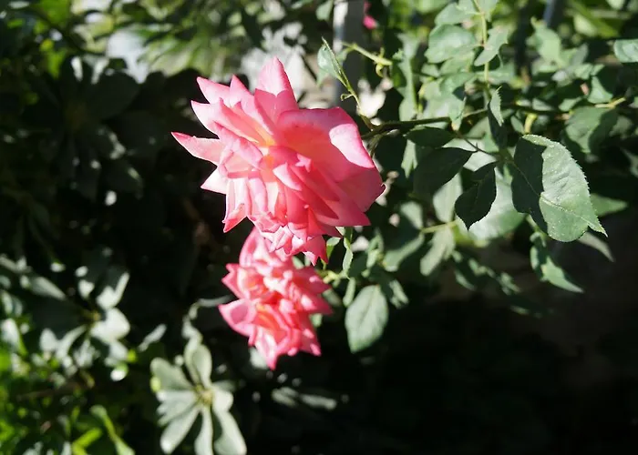 Aparthotel Skoufezis